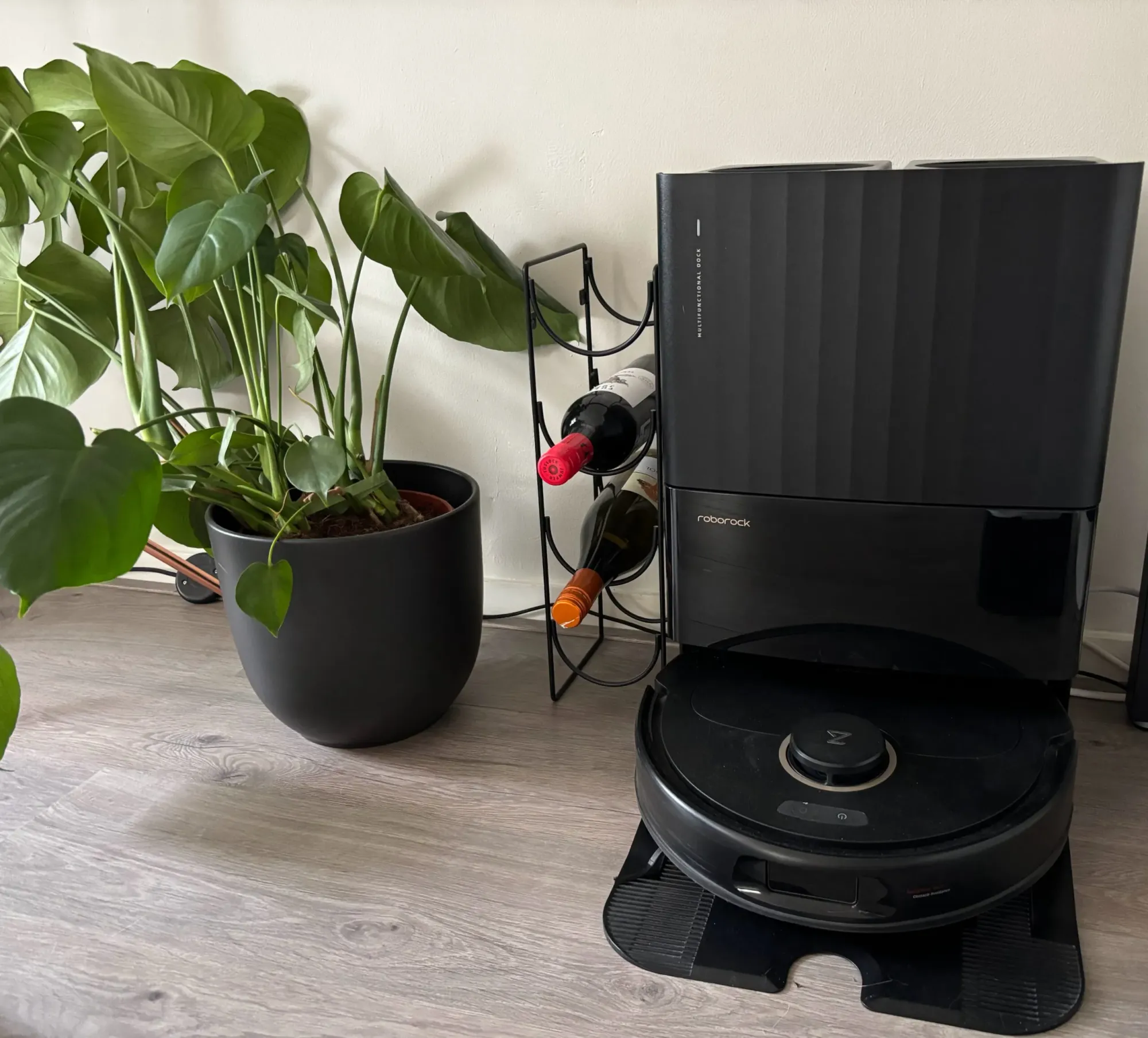 Even voorstellen: onze huisgenoot Henk!