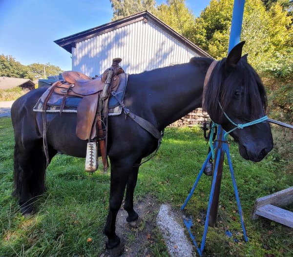 Cowboymodus activated: paardrijden in Duitsland!