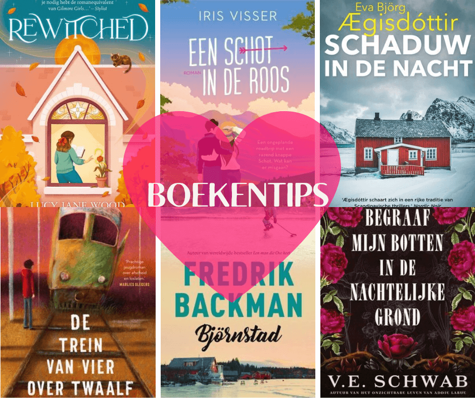 Mijn maand in boeken: november